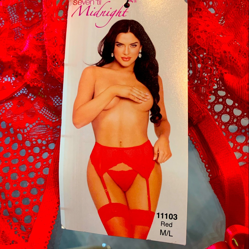 NWT Hustler Hollywood Lace Garter Belt & Panty set